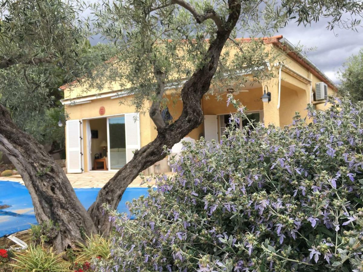 Villa La Inopia L'Ampolla Exterior foto